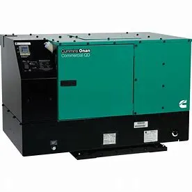 The Cost of Owning a Generator: What to Expect(pic1)