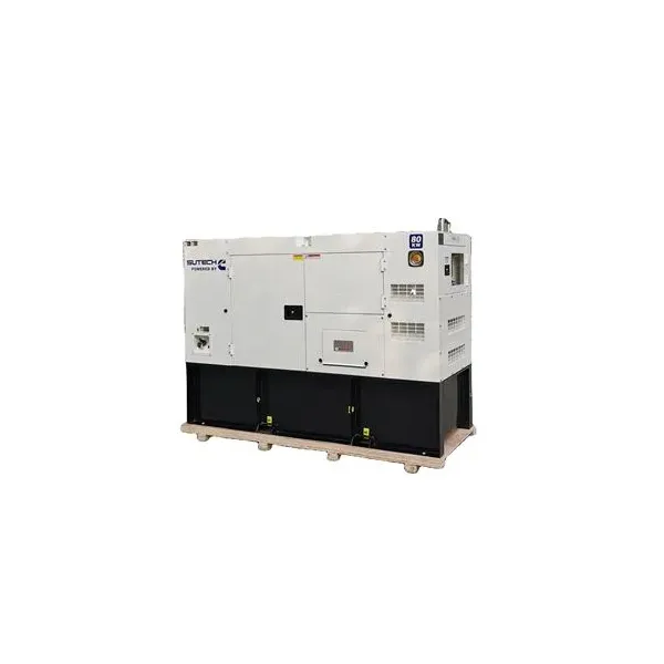 Generator Transfer Switches: Installation and Use